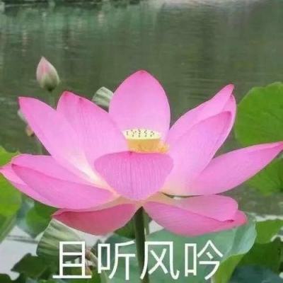【境内疫情观察】四川新增6例境外输入病例（3月15日）